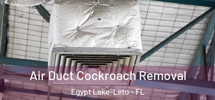 Air Duct Cockroach Removal Egypt Lake-Leto - FL