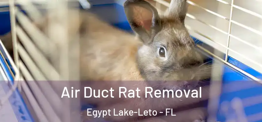 Air Duct Rat Removal Egypt Lake-Leto - FL