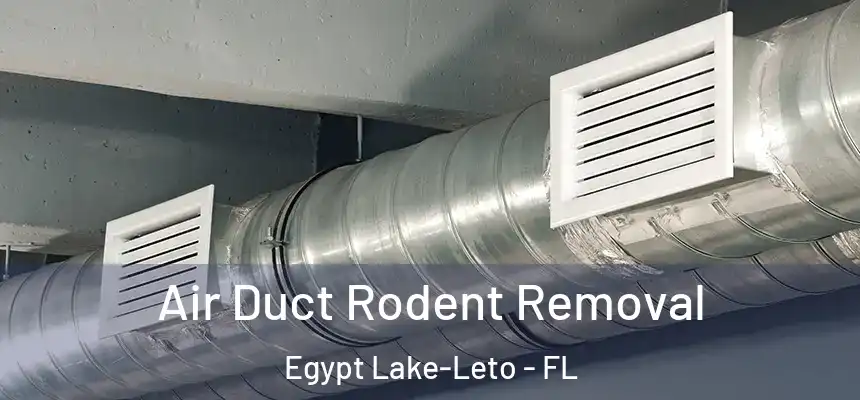 Air Duct Rodent Removal Egypt Lake-Leto - FL