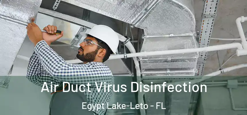 Air Duct Virus Disinfection Egypt Lake-Leto - FL