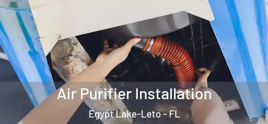 Air Purifier Installation Egypt Lake-Leto - FL