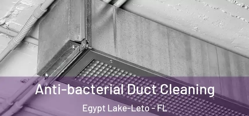Anti-bacterial Duct Cleaning Egypt Lake-Leto - FL