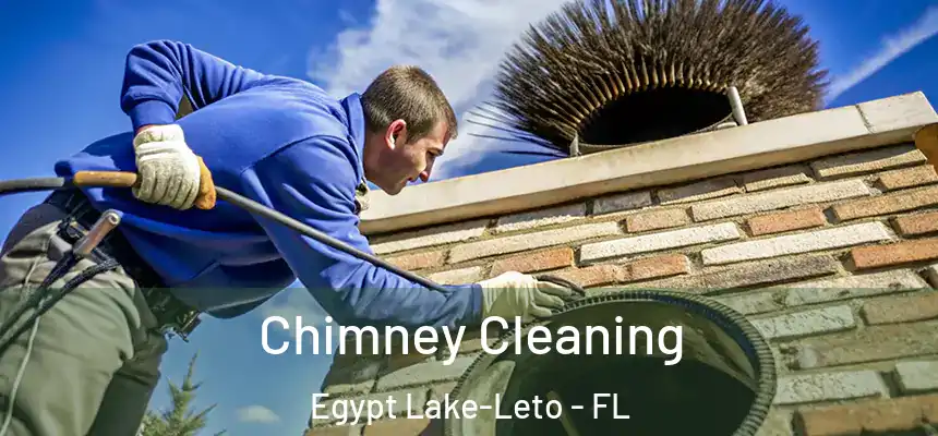 Chimney Cleaning Egypt Lake-Leto - FL