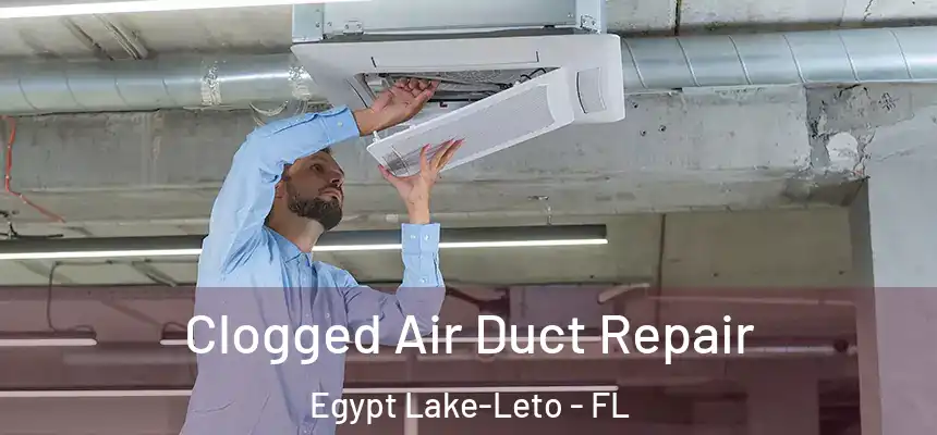 Clogged Air Duct Repair Egypt Lake-Leto - FL
