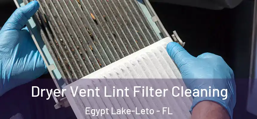  Dryer Vent Lint Filter Cleaning Egypt Lake-Leto - FL