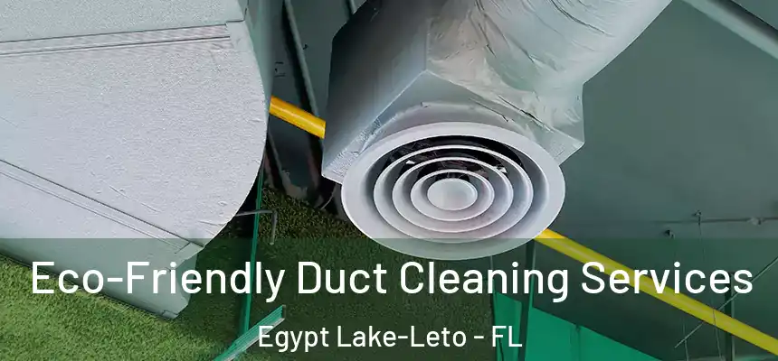 Eco-Friendly Duct Cleaning Services Egypt Lake-Leto - FL