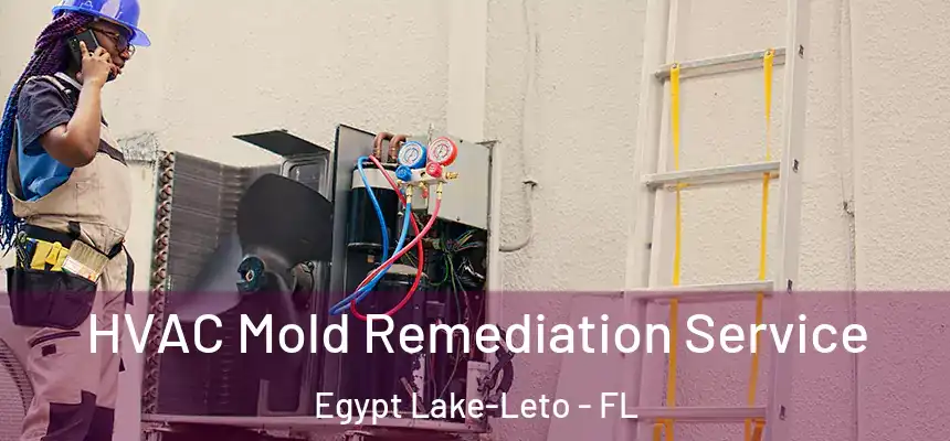 HVAC Mold Remediation Service Egypt Lake-Leto - FL