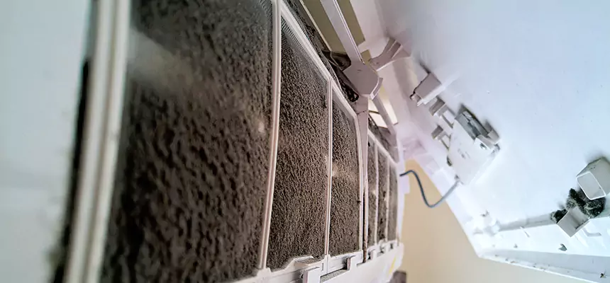 Preventive Air Duct Bacteria Removal in Egypt Lake-Leto