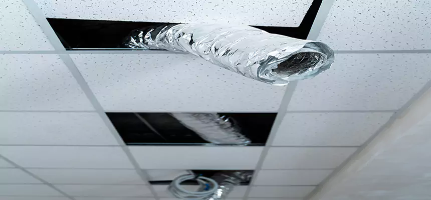 Our Air Duct Pet Hair Removal Services in Egypt Lake-Leto, FL