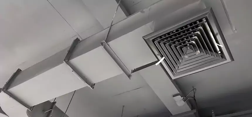 Restorative Allergy Relief Vent Cleaning – Coil, Blower & Housing Detail in Egypt Lake-Leto