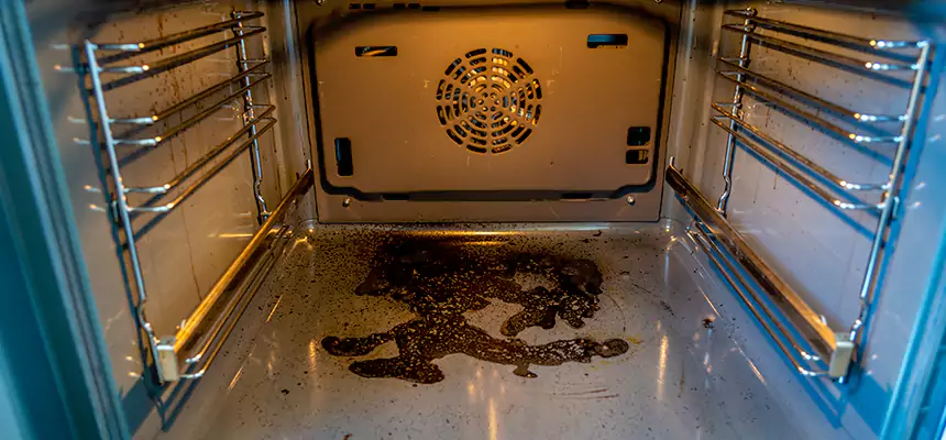 Our Dryer Vent Mold Cleaning Services in Egypt Lake-Leto, FL