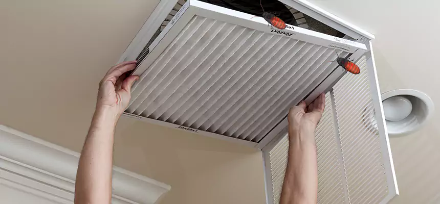 Our Insect Removal from Air Ducts Services in Egypt Lake-Leto, FL