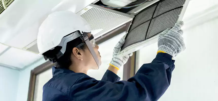 Our Mold & Mildew Removal from Air Ducts Services in Egypt Lake-Leto, FL