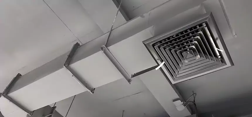 Our Pest Removal From Ducts Services in Egypt Lake-Leto, FL