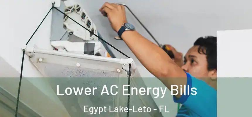 Lower AC Energy Bills Egypt Lake-Leto - FL