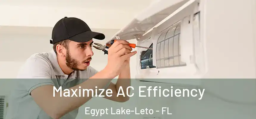 Maximize AC Efficiency Egypt Lake-Leto - FL