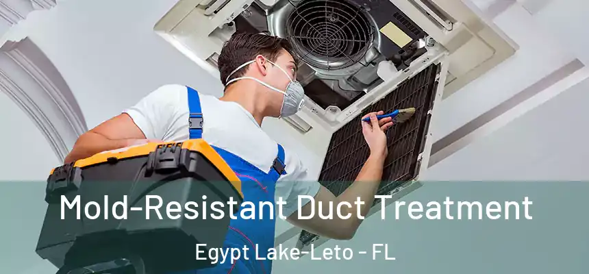 Mold-Resistant Duct Treatment Egypt Lake-Leto - FL