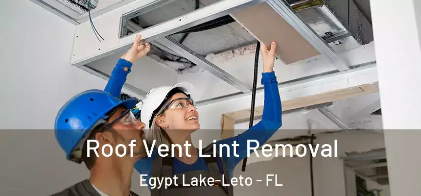 Roof Vent Lint Removal Egypt Lake-Leto - FL