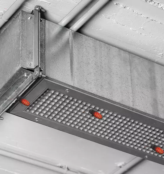 Affordable Insect Removal from Air Ducts in Egypt Lake-Leto, FL