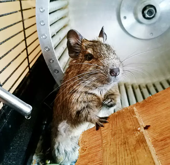 Why Homeowners & Businesses Trust Us Egypt Lake-Leto, FL