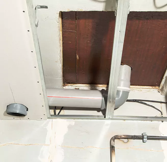 Why Homeowners & Businesses Trust Us in Egypt Lake-Leto, FL?