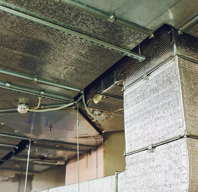 Why Homeowners & Businesses Trust Us in Egypt Lake-Leto, FL?