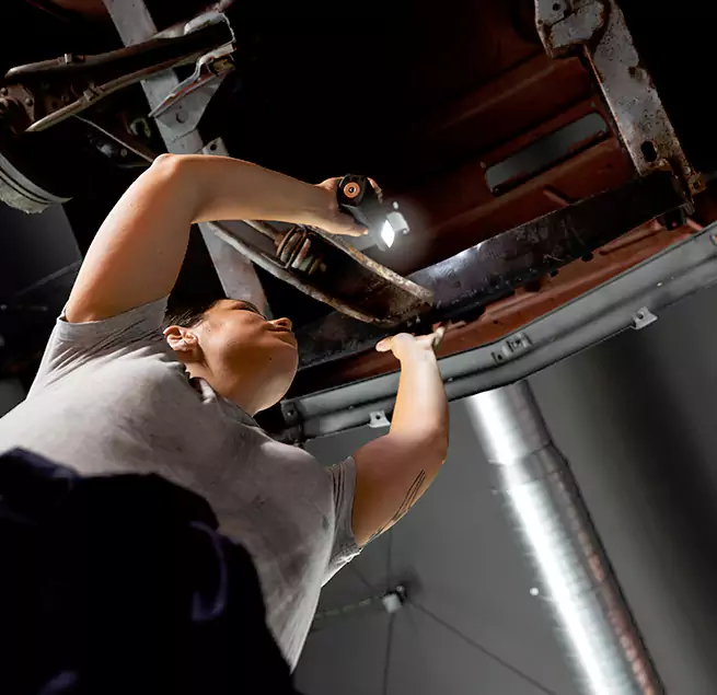 Why Homeowners & Businesses Trust Us Egypt Lake-Leto, FL