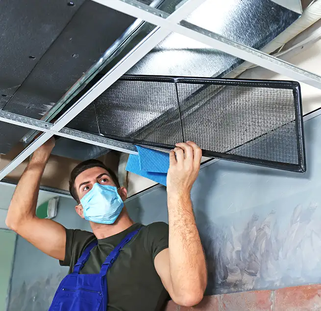 Why Homeowners & Businesses Trust Us in Egypt Lake-Leto, FL?