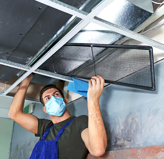 Why Homeowners & Businesses Trust Us in Egypt Lake-Leto, FL?