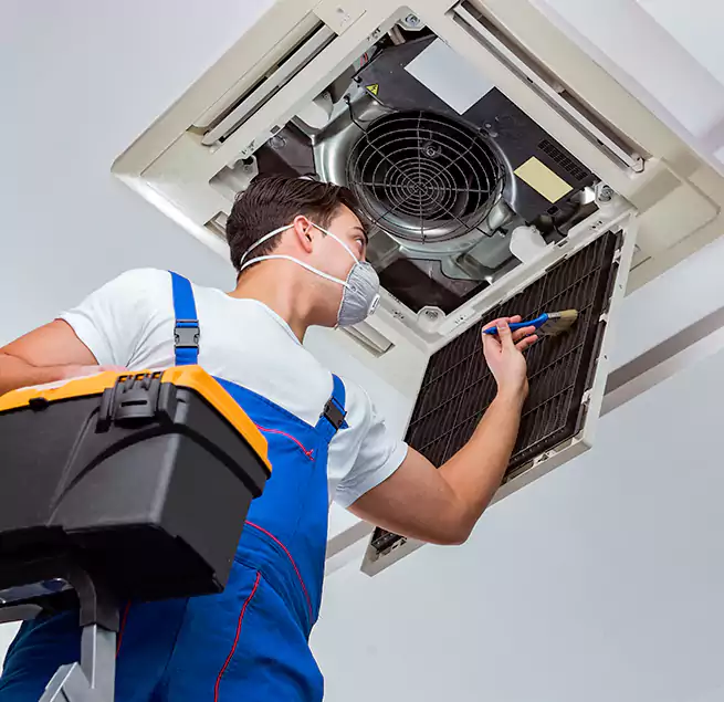 Why Homeowners & Businesses Trust Us in Egypt Lake-Leto, FL?