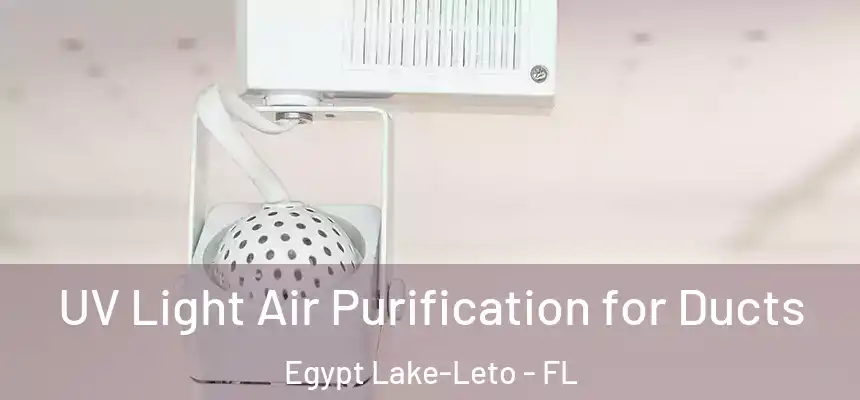 UV Light Air Purification for Ducts Egypt Lake-Leto - FL