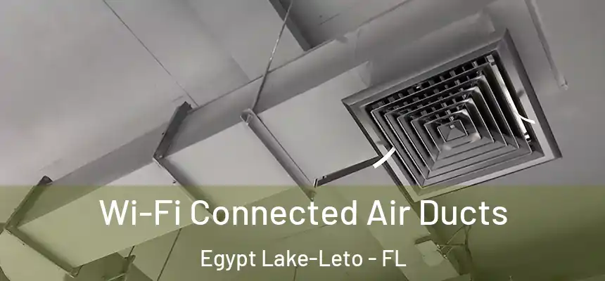 Wi-Fi Connected Air Ducts Egypt Lake-Leto - FL